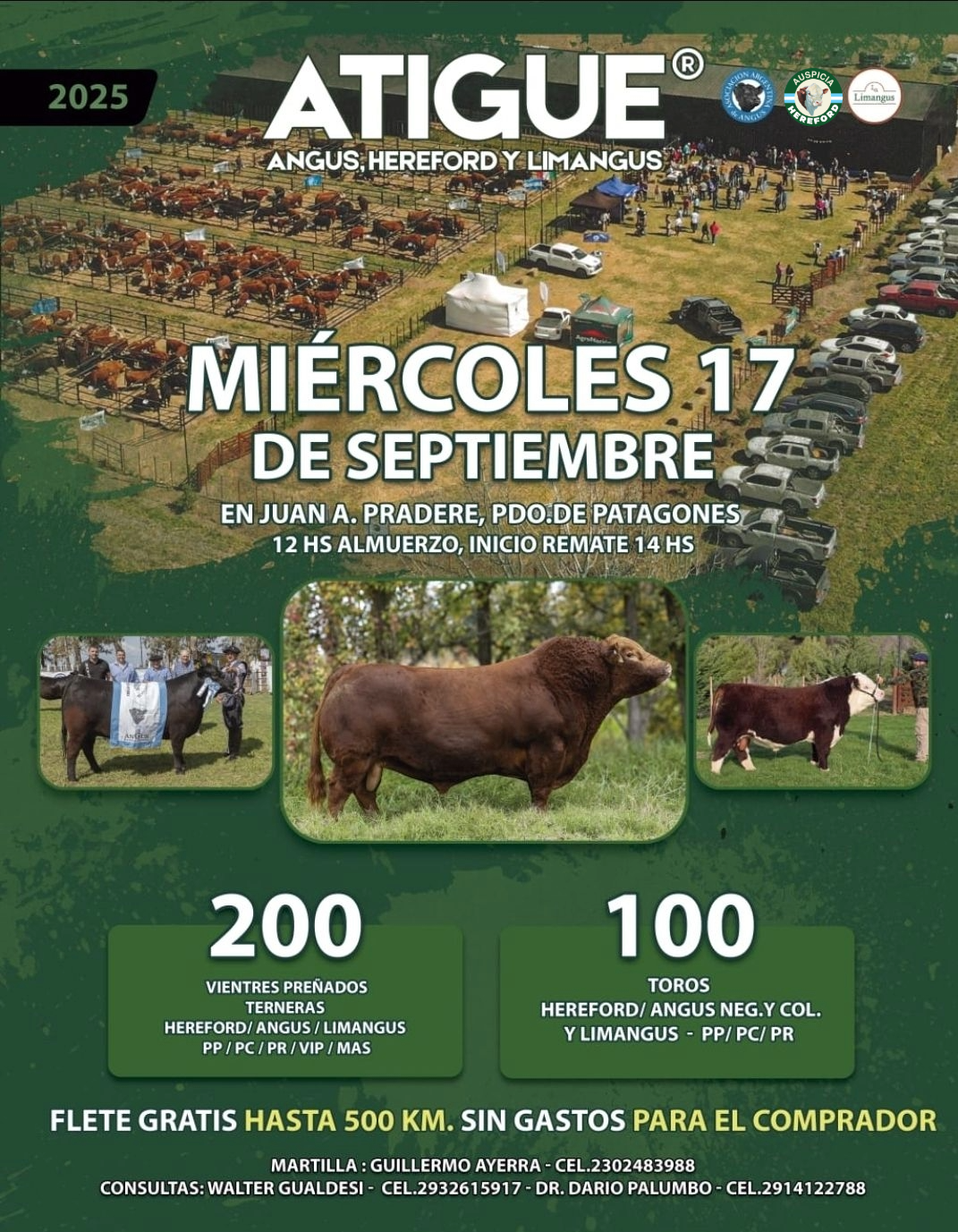 Atigue de Gualdesi