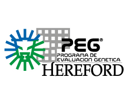 peg