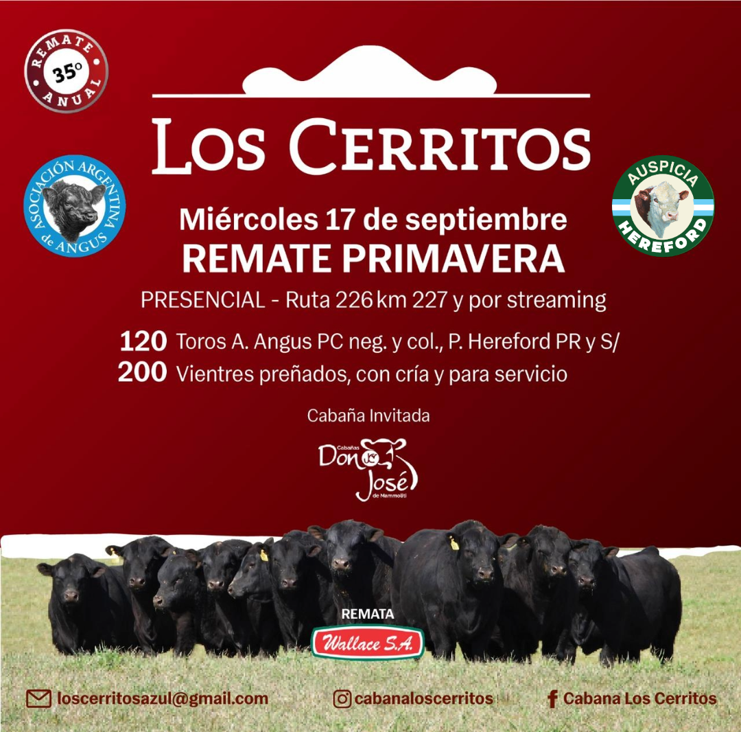 Los Cerritos