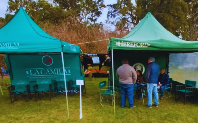 Hereford Argentina en “La Ganadería que Viene” 2025