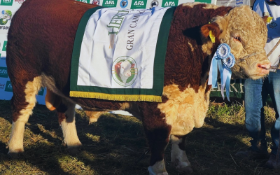 Hereford Argentina mostró su potencial en AgroActiva 2025