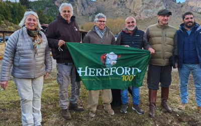Hereford Argentina en la Jornada Patagónica CABIA–INTA