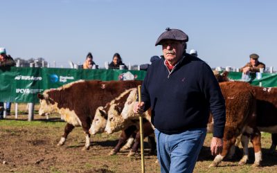 Se realizó la 3° Jura Fenotípica de la 3° Prueba Pastoril Mesopotámica