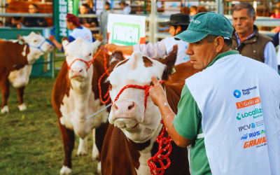 Se realizó la 13° Expo Nacional Patagónica en Carmen de Patagones