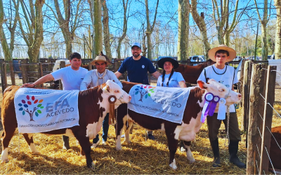 Hereford Joven: los futuros cabañeros tuvieron su primera experiencia en Pergamino