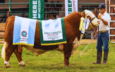 Expo Patrocinada: Curuzú Cuatiá 2025