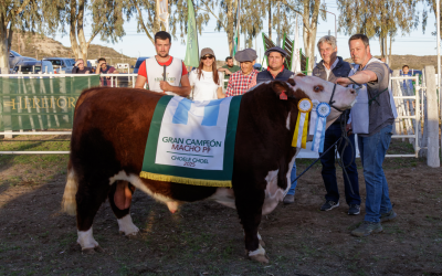 Expo Patrocinada: Choele Choel 2025