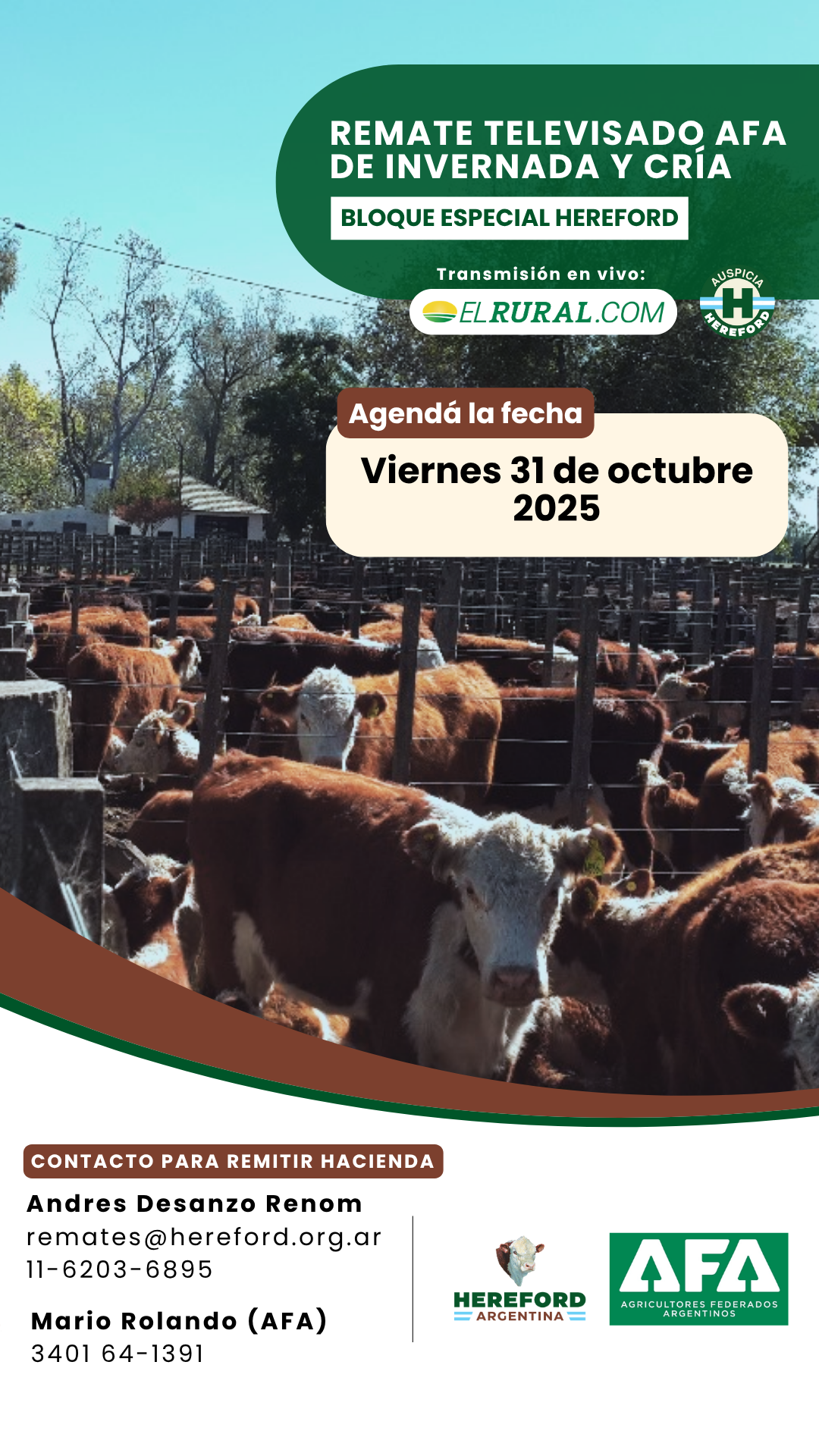 Remate AFA (6)