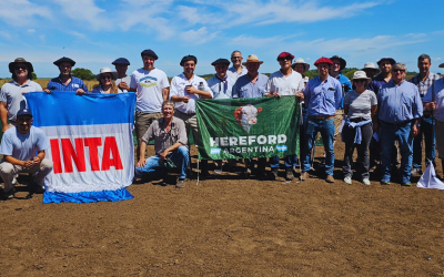 Se realizó la Primera Jura Fenotípica de la Sexta Prueba Pastoril Bonaerense