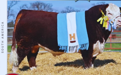 Sacerdote, referente global de la genética Hereford