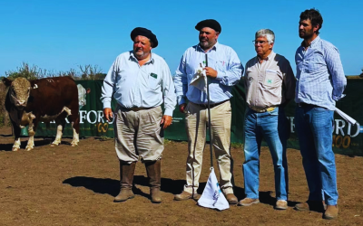 Sexta Prueba Pastoril Bonaerense | Segunda Jura Fenotípica
