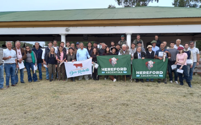 Escuela de Jurados Hereford 2026: capacitación y práctica en campo