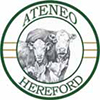 Ateneo Hereford